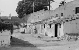 Viviendas de pescadores. Barrio de la Malagueta. Octubre de 1954. Málaga, España.